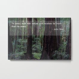 Muir Woods Quote 1 Metal Print