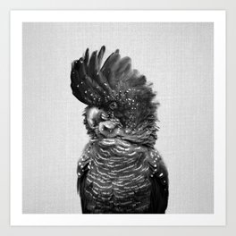 Black Cockatoo - Black & White Art Print