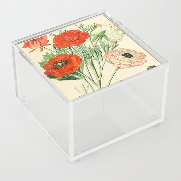 Plant Acrylic Box