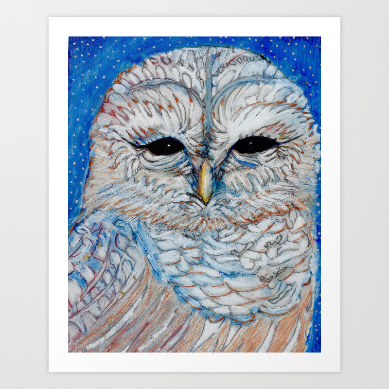 Owl Pencil Crayon And Ink Drawing Art Print By Alexandratarasoff