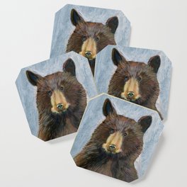 B is for Bear and Butterfly Coaster