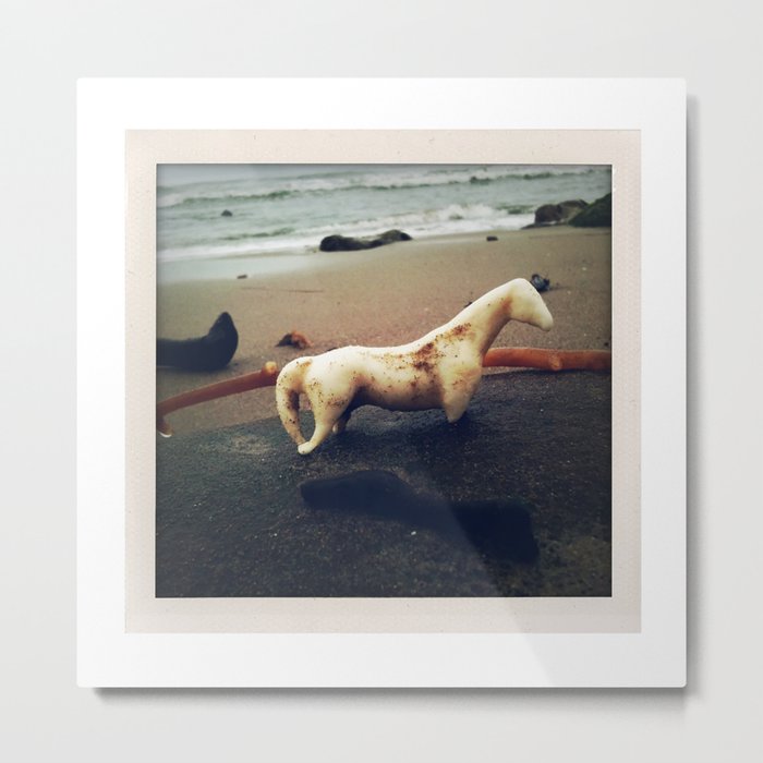 California Coast I -- Beach find caught in a photo! Perfect dreamy seaside memory for your wall :-) Metal Print