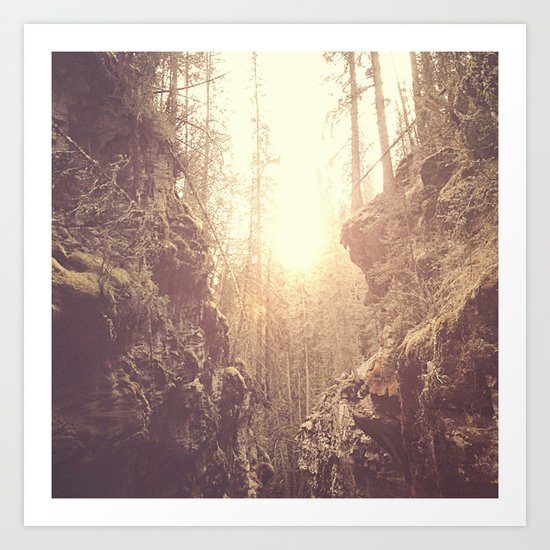 Forgotten Forest Art Print