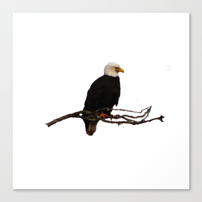 EagleView II Canvas Print