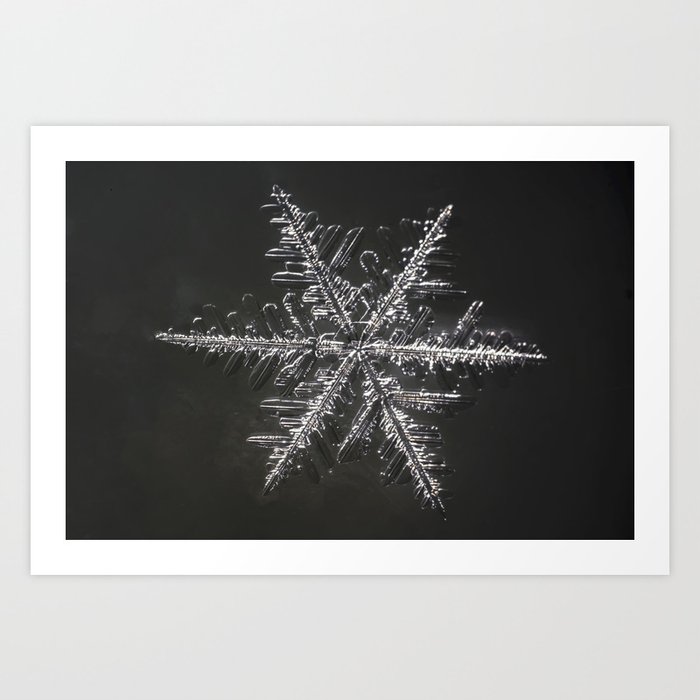 January Snowflake #4 Art Print
