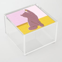 Risograph Kitten - blush Acrylic Box