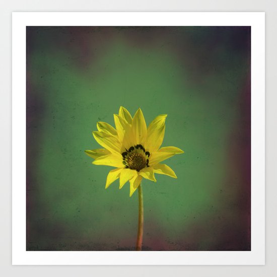 The yellow flower of my old friend Art Print