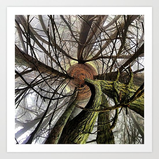 Print #17 Art Print