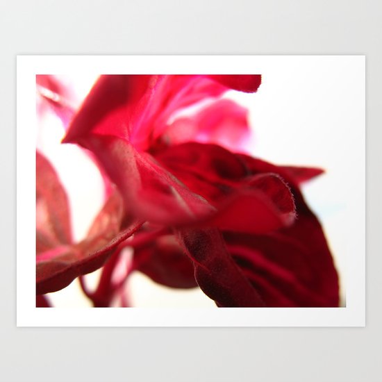 Wings Art Print