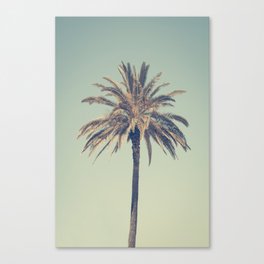 Retro palm tree Canvas Print