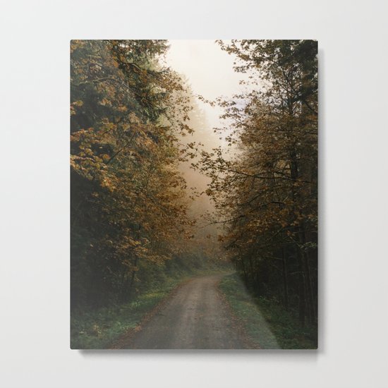 Oregon Fall Road Metal Print