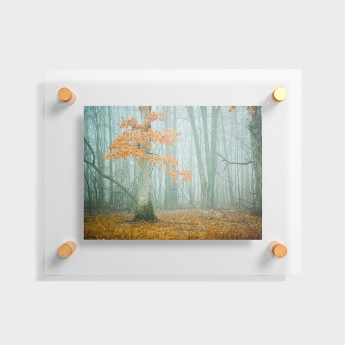 Autumn Woods Floating Acrylic Print