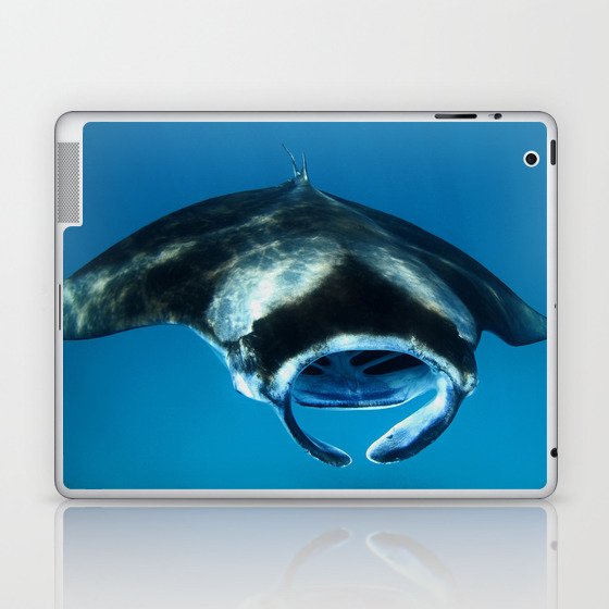 Mantaray laptop bag store