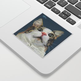 Meme Cat - Shocked Cat Sticker