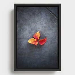 Red Leaves of Fall Framed Canvas
