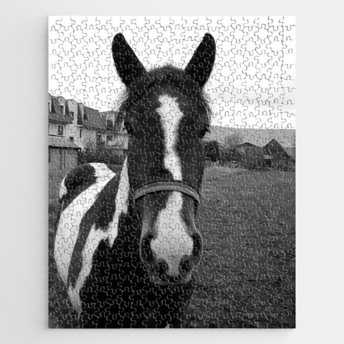 Vintage monochrome spotted horse in the suburbia Jigsaw Puzzle