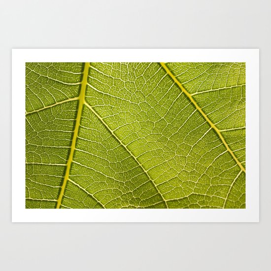 Fig Leaf Art Print