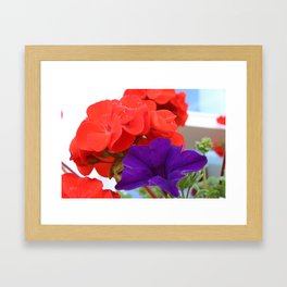 RED AND PURPLE  Framed Art Print