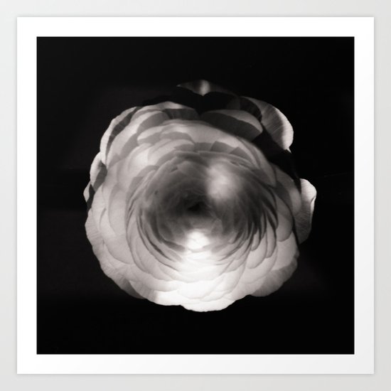 Mapplethorpe Ass Flower Art Print