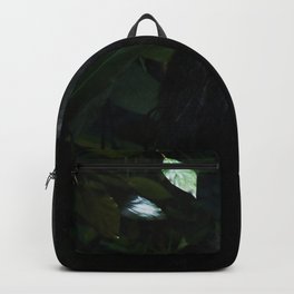 Gorilla  Backpack