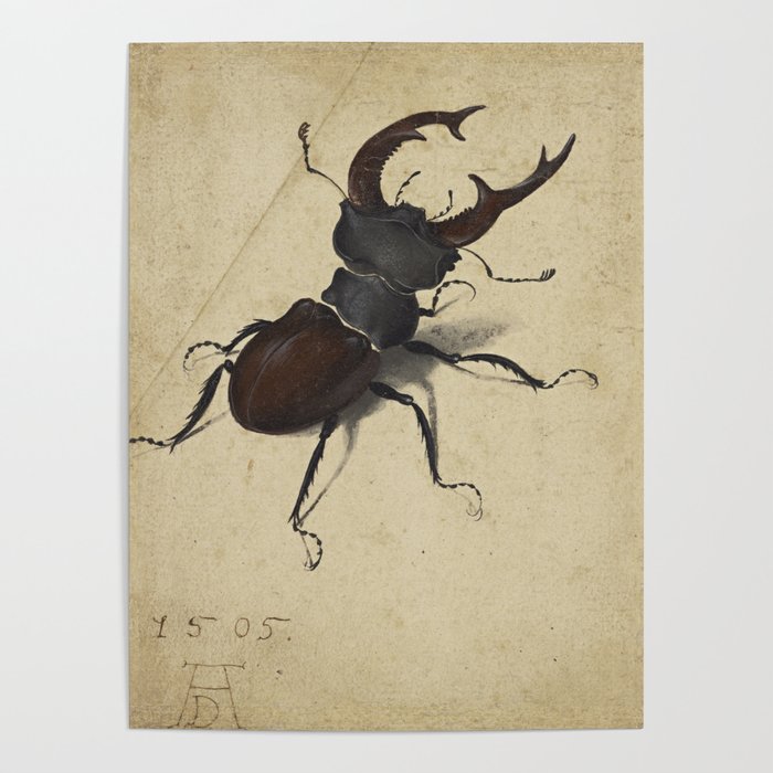 Stag Beetle - Albrecht Durer Poster