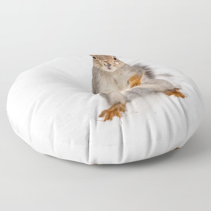 Do you have any boots for squirrels? Floor Pillow