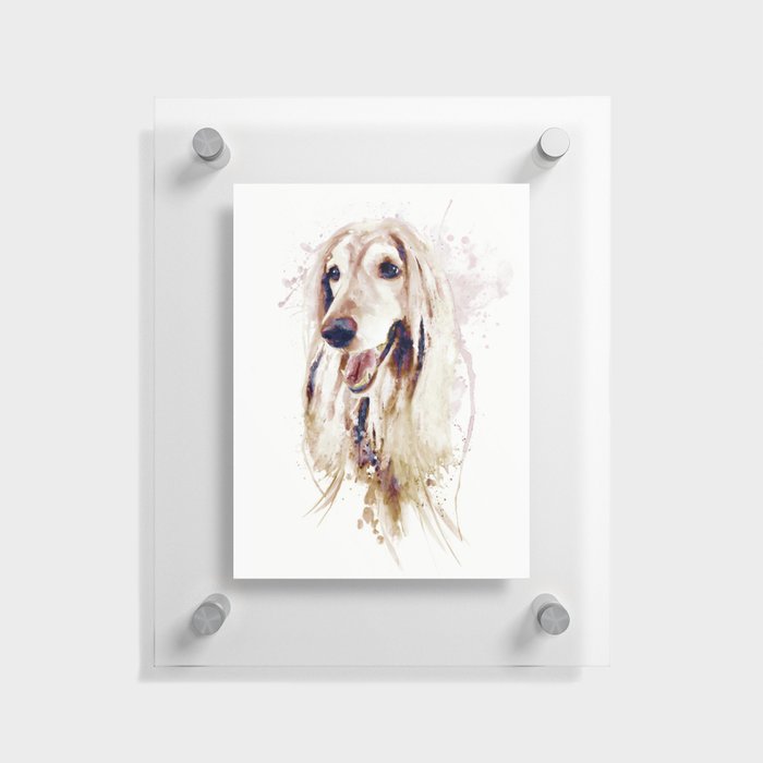 Watercolor Portrait - Afghan Hound Dog Floating Acrylic Print