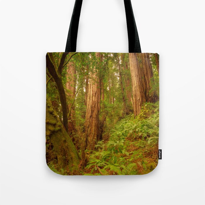 Redwoods Regional II Tote Bag