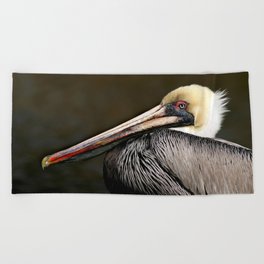 Brown Pelican Portrait Beach Towel