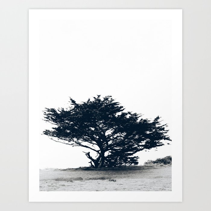 Blown out Tree - Support my small business Art Print