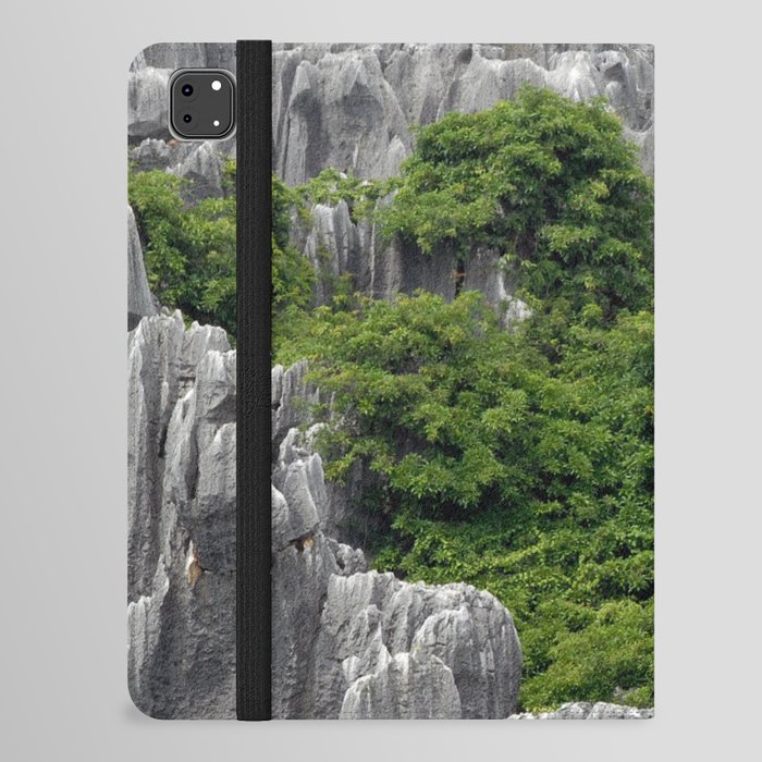 China Photography - Stone Forest National Park In Kunming iPad Folio Case