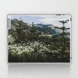 Mount Rainier Summer Wildflowers Laptop & iPad Skin