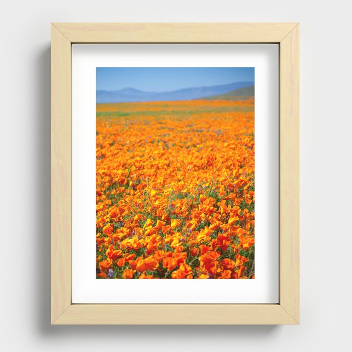 Antelope Valley 02 Recessed Framed Print