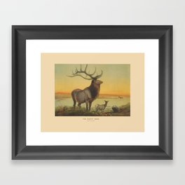 The Wapiti Deer Framed Art Print