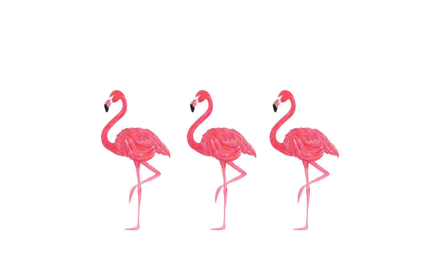 Flamingo Default Dance