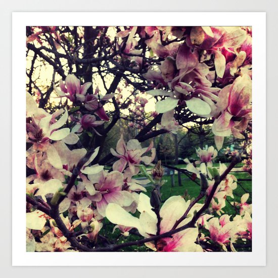 Nature 5 Art Print
