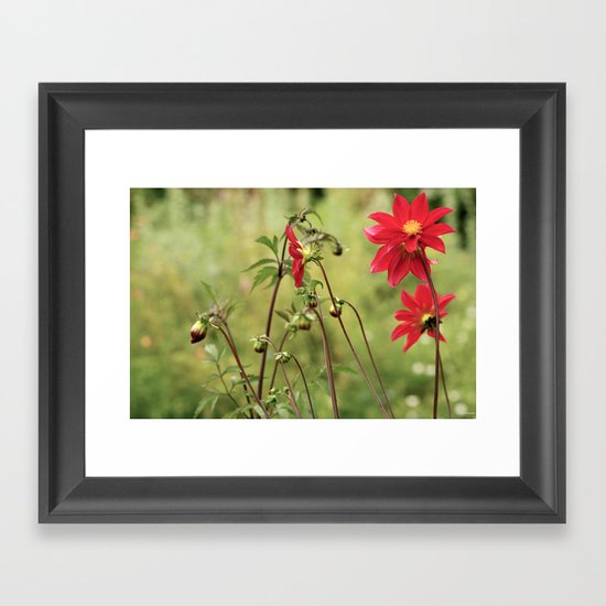 Red... Framed Art Print