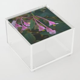 Falling Flowers Acrylic Box