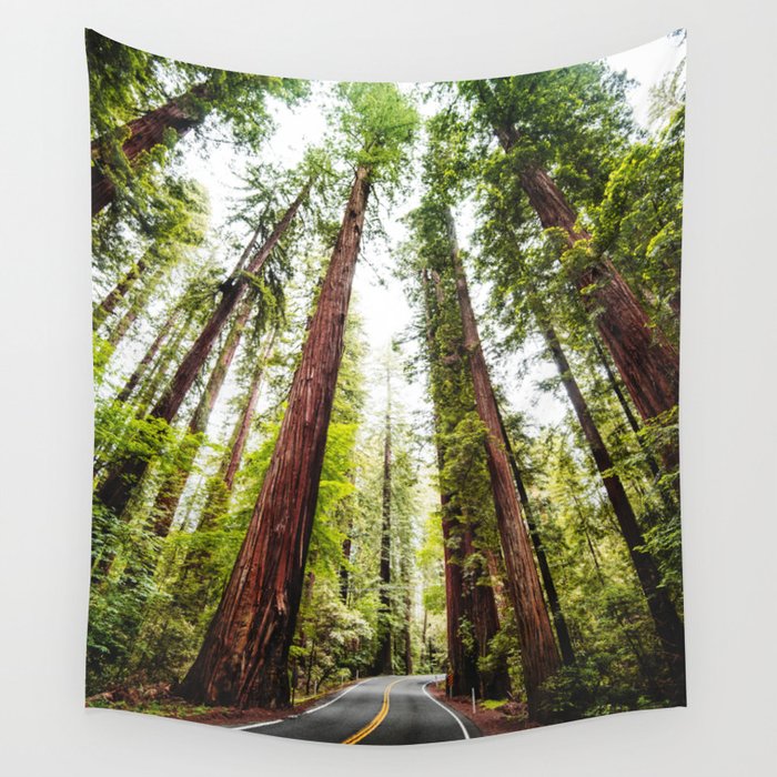 Redwood tapestry on sale