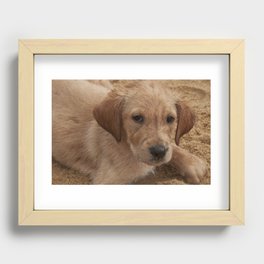 Encarando - Sand Dogs Series (Cachorros de Areia) - por Gustavo Souto Recessed Framed Print