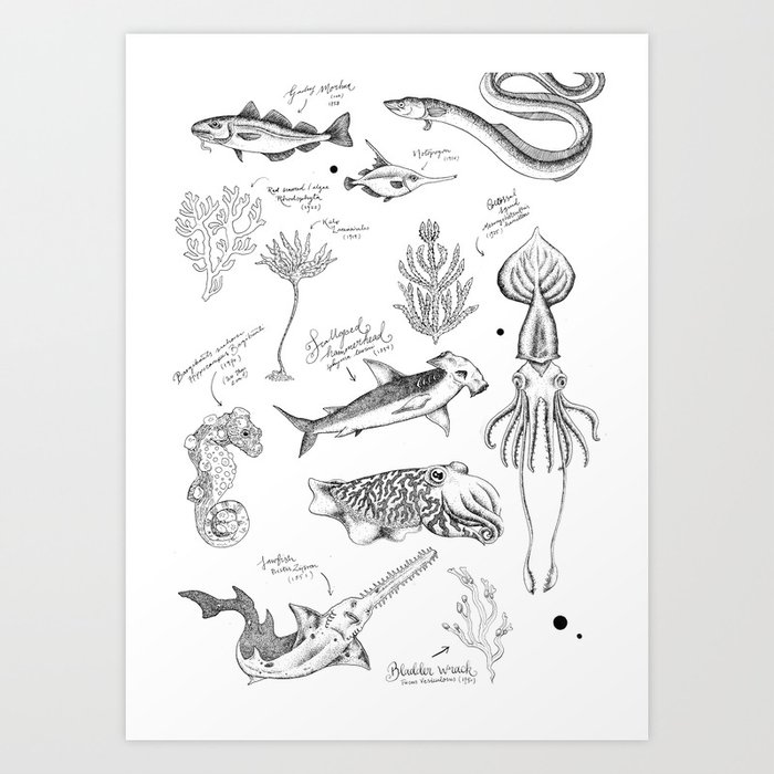 Ocean Sketches Art Print