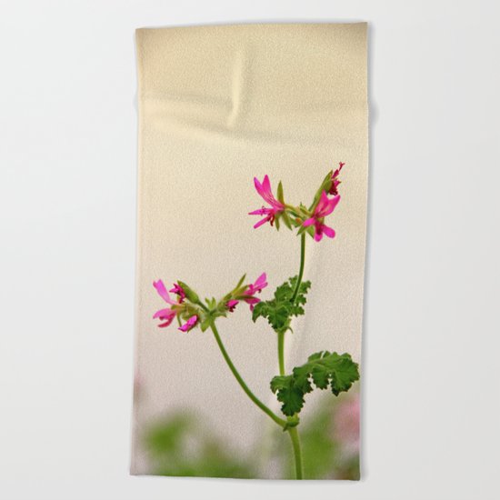 Geraniums (Pelargonium) #5 Beach Towel