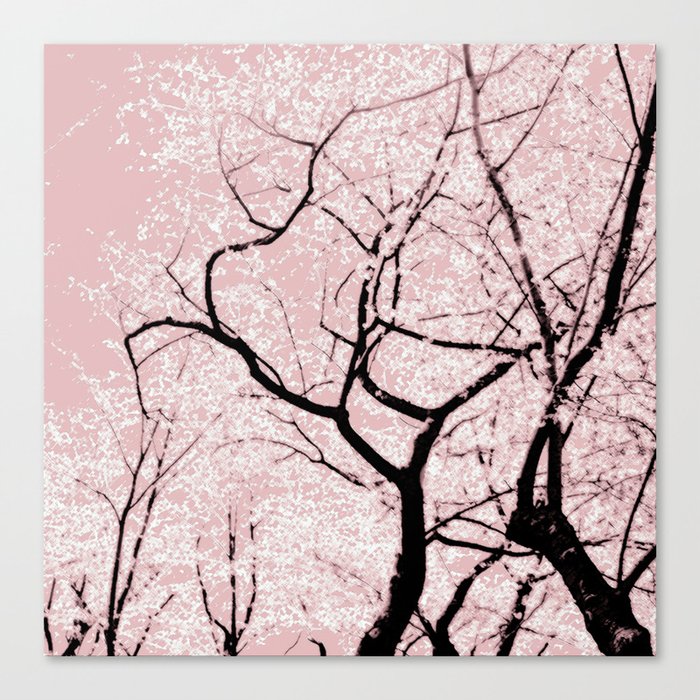 Cherry Blossom Dance Canvas Print