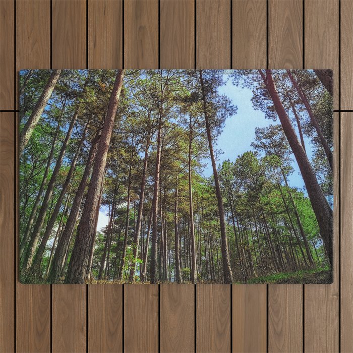 No tree grows to the sky Outdoor Rug