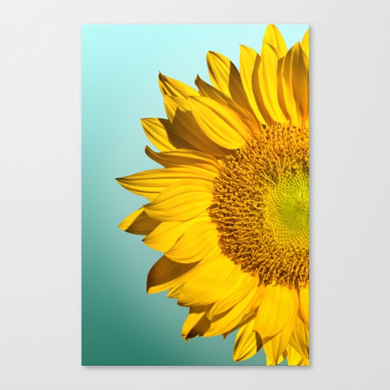 flowers Canvas Print