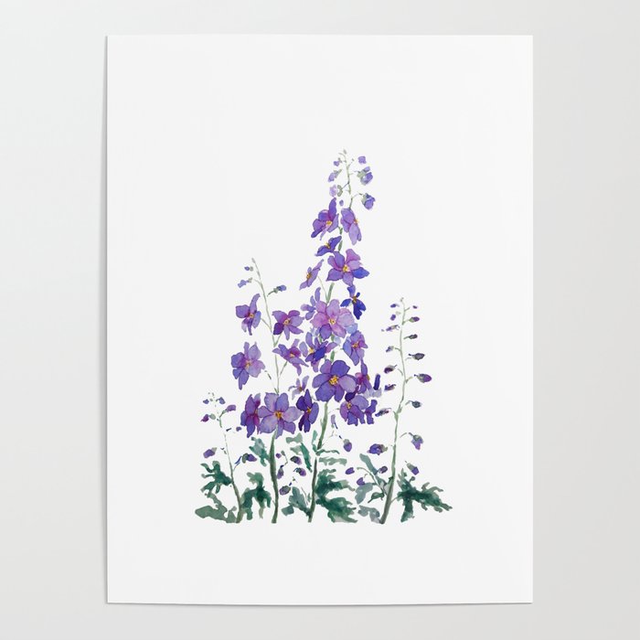 purple blue delphinium watercolor Poster