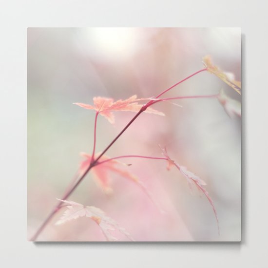 The color of autumn Metal Print