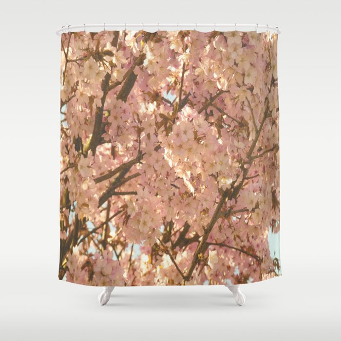 Scottish Highlands Sunny Cherry Blossom Shower Curtain