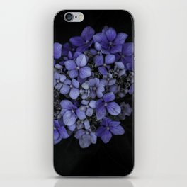 Blue Hydrangea iPhone Skin