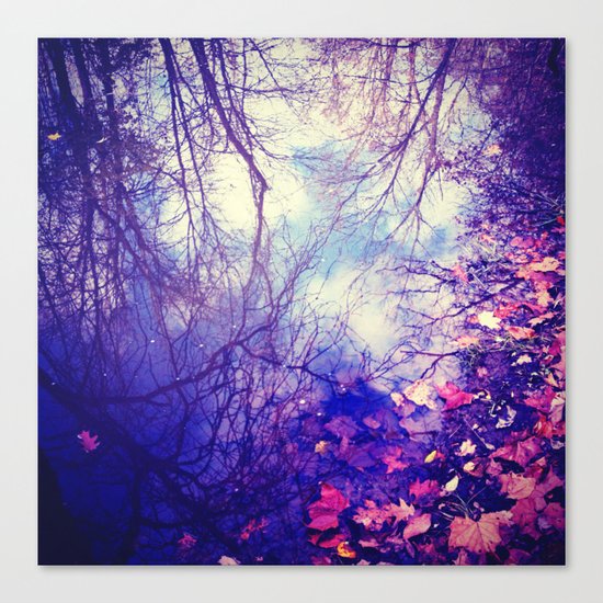 Winter Reflection Canvas Print